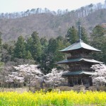 八幡神社三重塔