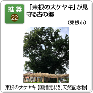 22.「東根の大ケヤキ」が見守る古の郷