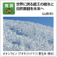 24.世界に誇る蔵王の樹氷と自然景観を未来へ